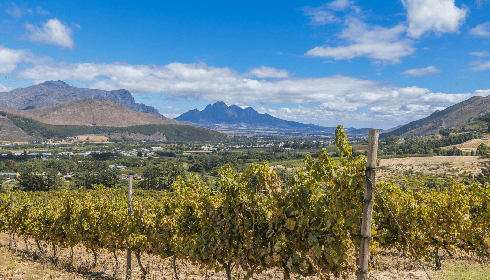 Cape Winelands Cape Winelands
